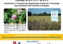 Riva del Po – Visite campi sperimentali Progetto Carta MB – Martedì 8 giugno 2021 – Presso Azienda Agricola Sandali Alessandro