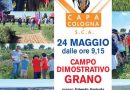 COLOGNA – C.A.P.A. – CAMPO DIMOSTRATIVO GRANO – 24 MAGGIO 2022